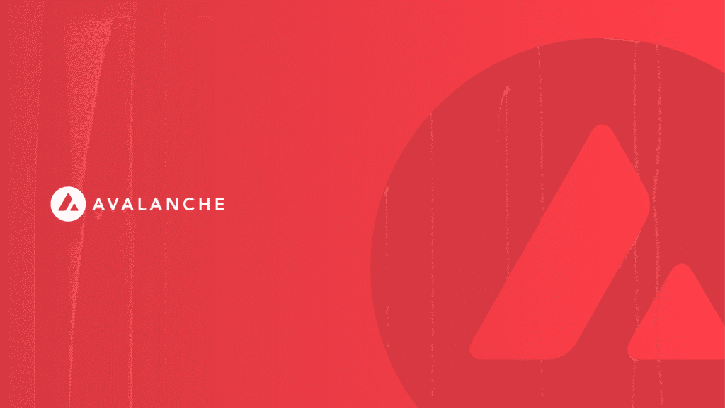 The End of Block Explorers? Bitcoin Address Search Now Available Directly on Google 14 bitcoin-address-search